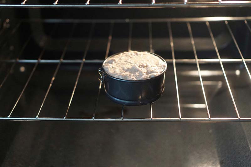 Healthy Whole Wheat Smash Fruit Cake for Baby